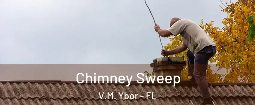 Chimney Sweep V.M. Ybor - FL