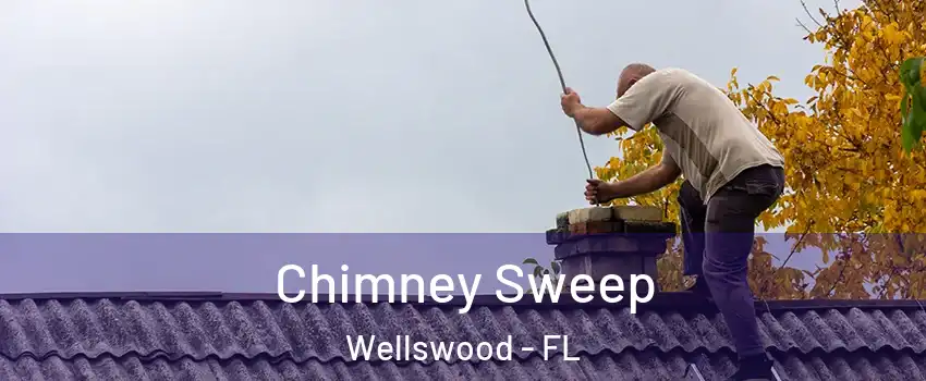 Chimney Sweep Wellswood - FL