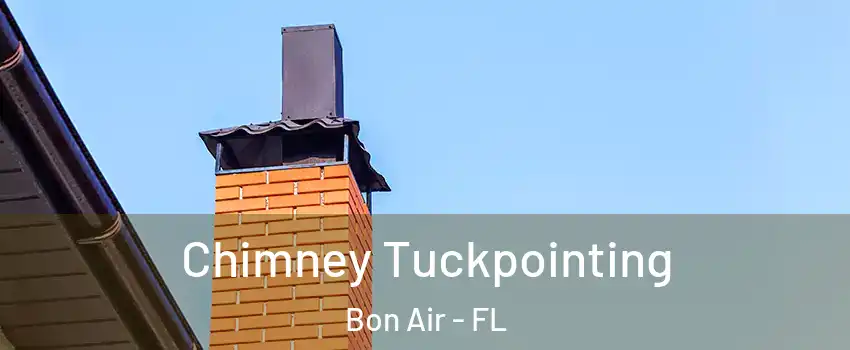 Chimney Tuckpointing Bon Air - FL