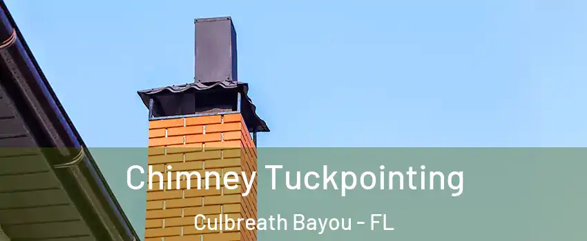 Chimney Tuckpointing Culbreath Bayou - FL