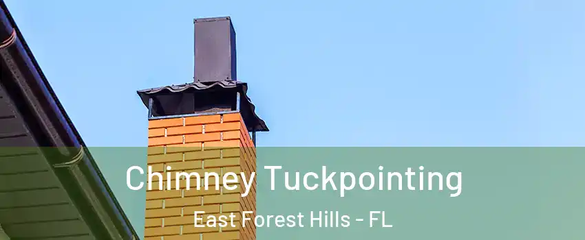 Chimney Tuckpointing East Forest Hills - FL