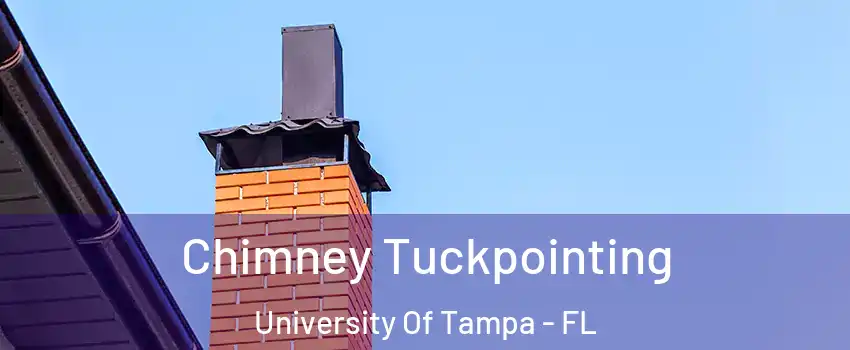 Chimney Tuckpointing University Of Tampa - FL