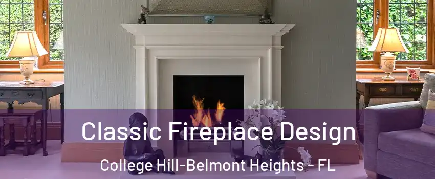 Classic Fireplace Design College Hill-Belmont Heights - FL