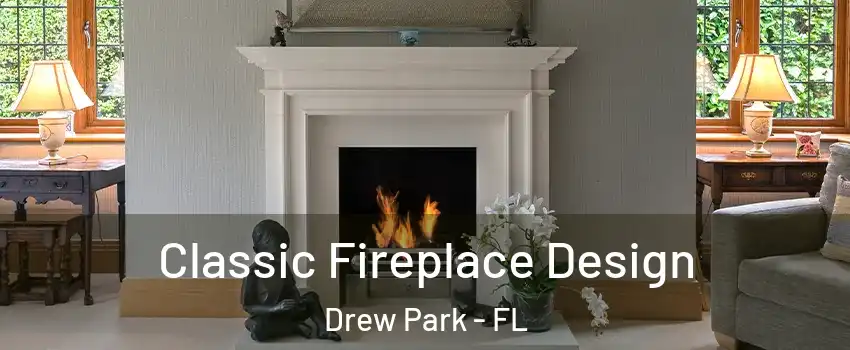 Classic Fireplace Design Drew Park - FL