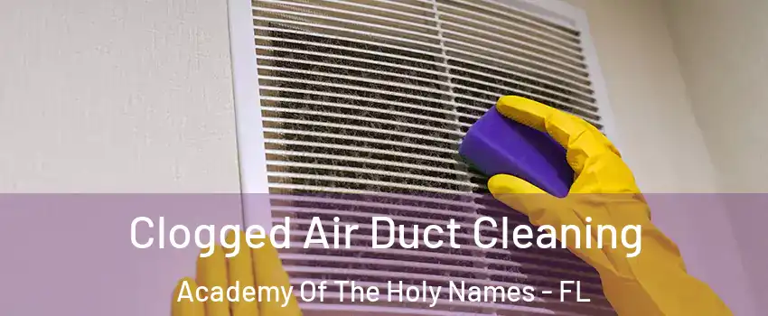 Clogged Air Duct Cleaning Academy Of The Holy Names - FL