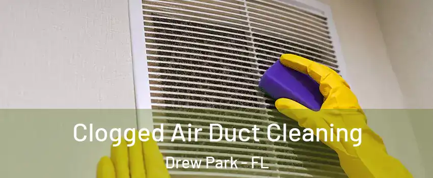 Clogged Air Duct Cleaning Drew Park - FL