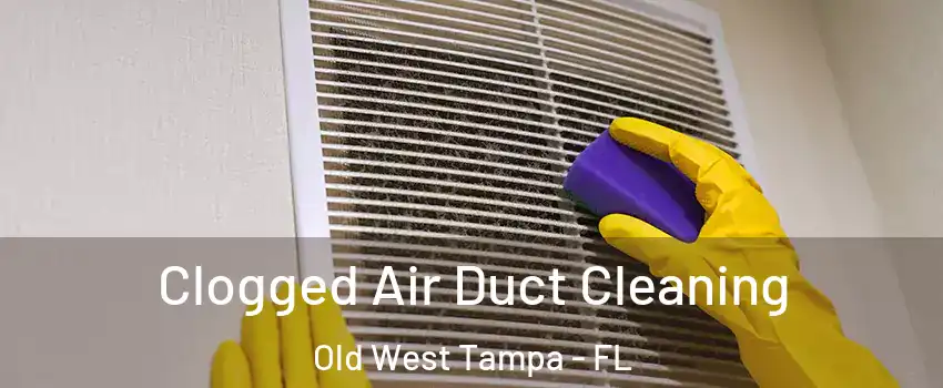 Clogged Air Duct Cleaning Old West Tampa - FL