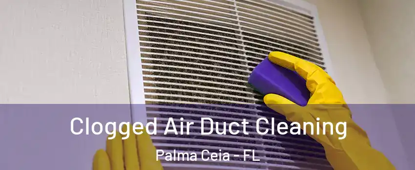 Clogged Air Duct Cleaning Palma Ceia - FL