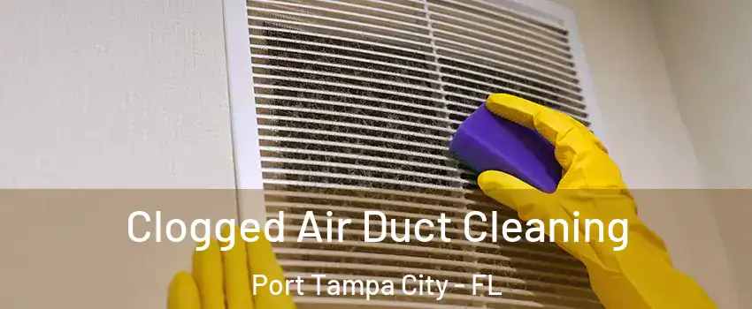 Clogged Air Duct Cleaning Port Tampa City - FL