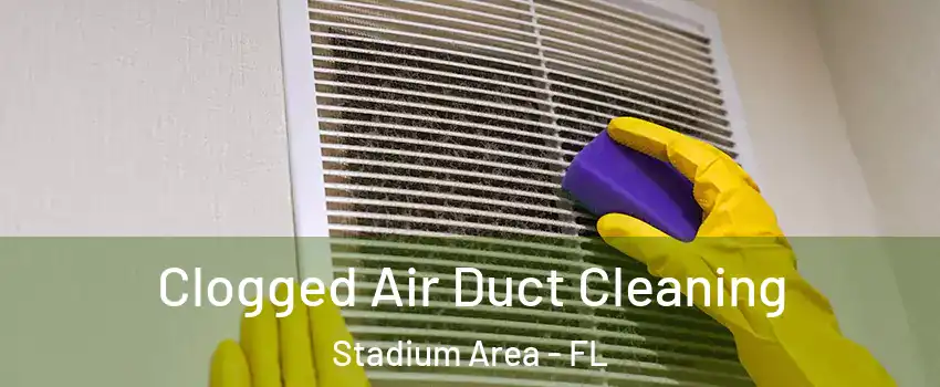 Clogged Air Duct Cleaning Stadium Area - FL