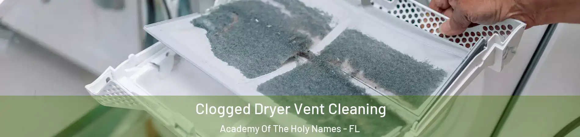 Clogged Dryer Vent Cleaning Academy Of The Holy Names - FL