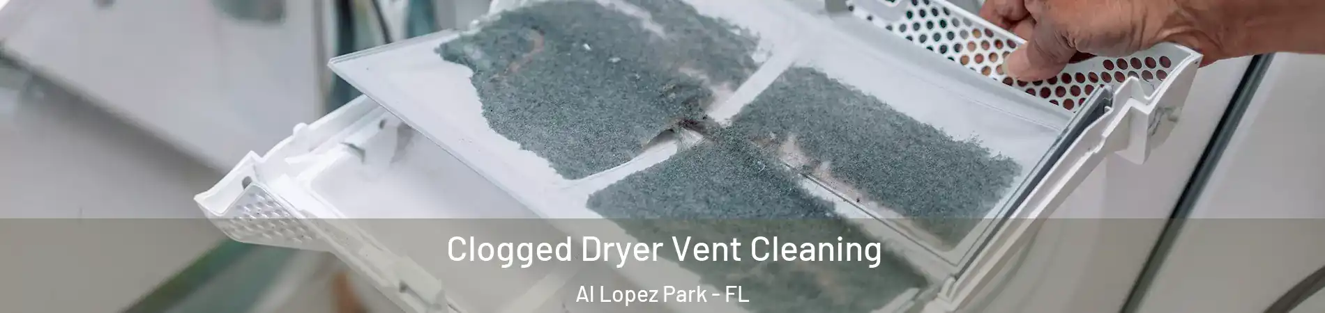 Clogged Dryer Vent Cleaning Al Lopez Park - FL