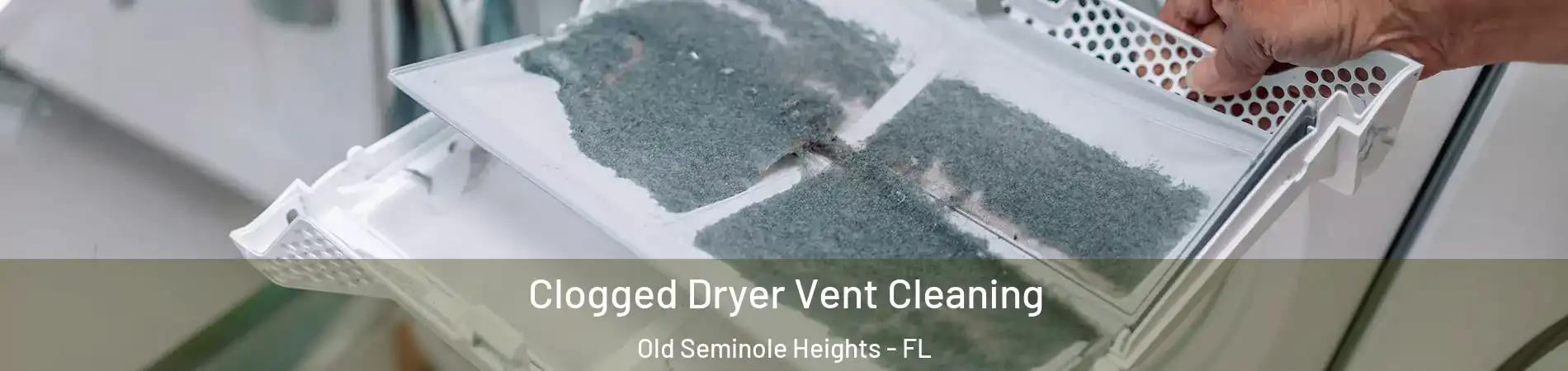 Clogged Dryer Vent Cleaning Old Seminole Heights - FL