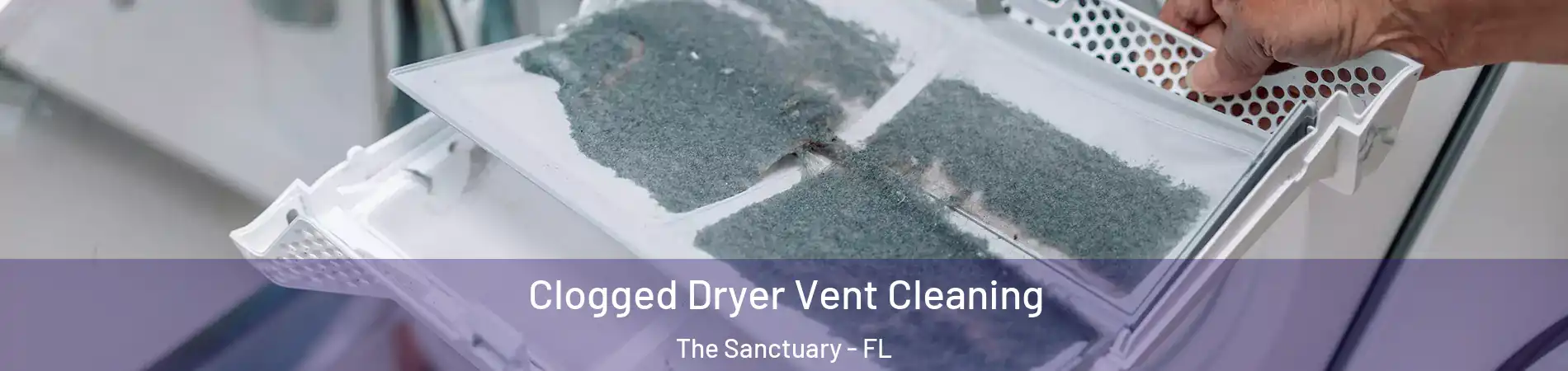 Clogged Dryer Vent Cleaning The Sanctuary - FL