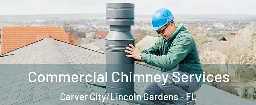 Commercial Chimney Services Carver City/Lincoln Gardens - FL