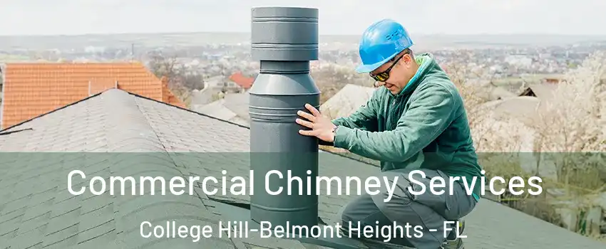 Commercial Chimney Services College Hill-Belmont Heights - FL