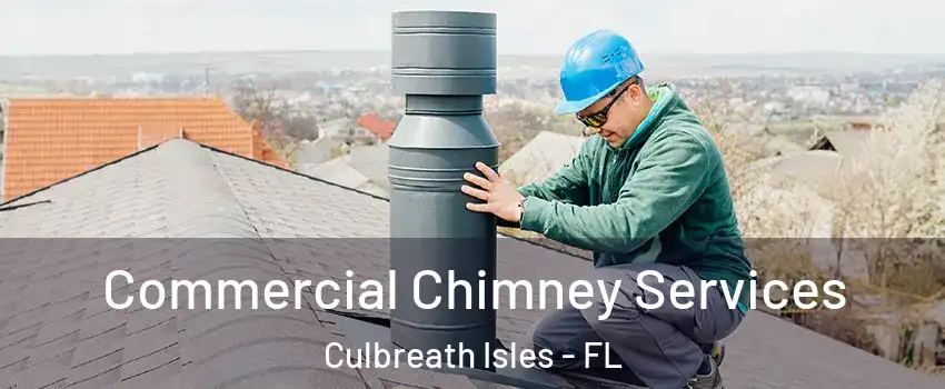 Commercial Chimney Services Culbreath Isles - FL