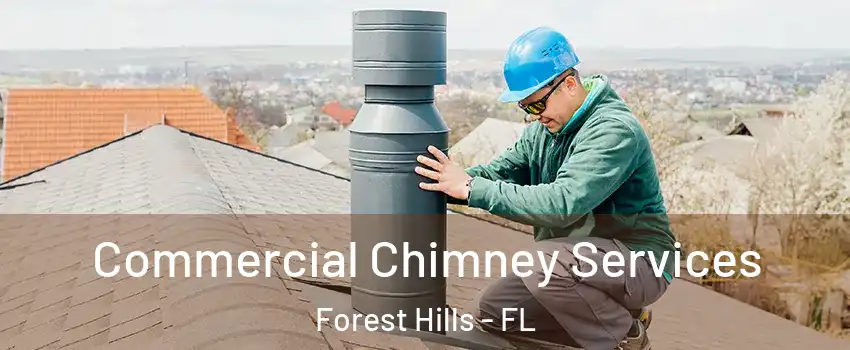 Commercial Chimney Services Forest Hills - FL