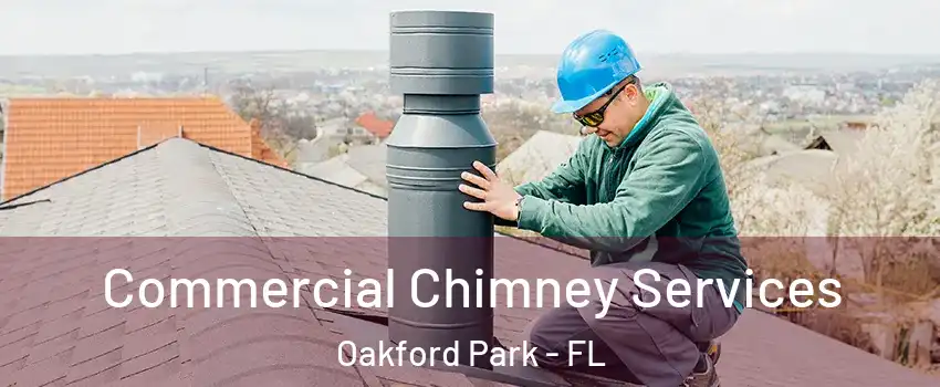 Commercial Chimney Services Oakford Park - FL