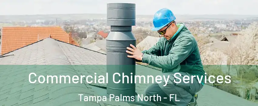 Commercial Chimney Services Tampa Palms North - FL