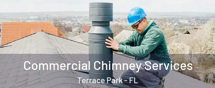 Commercial Chimney Services Terrace Park - FL