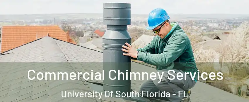 Commercial Chimney Services University Of South Florida - FL