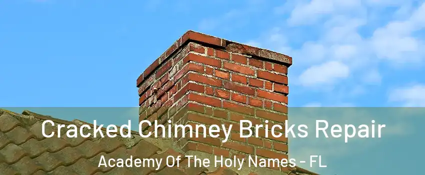 Cracked Chimney Bricks Repair Academy Of The Holy Names - FL