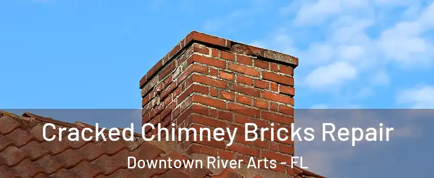 Cracked Chimney Bricks Repair Downtown River Arts - FL