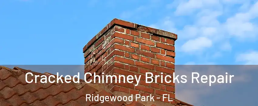 Cracked Chimney Bricks Repair Ridgewood Park - FL