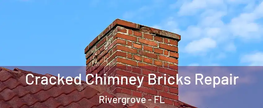 Cracked Chimney Bricks Repair Rivergrove - FL