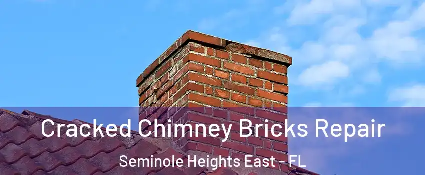 Cracked Chimney Bricks Repair Seminole Heights East - FL