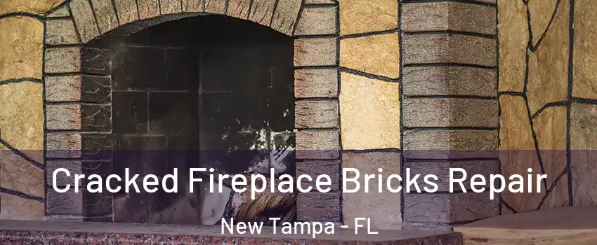 Cracked Fireplace Bricks Repair New Tampa - FL