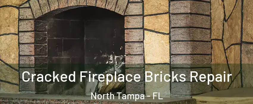 Cracked Fireplace Bricks Repair North Tampa - FL