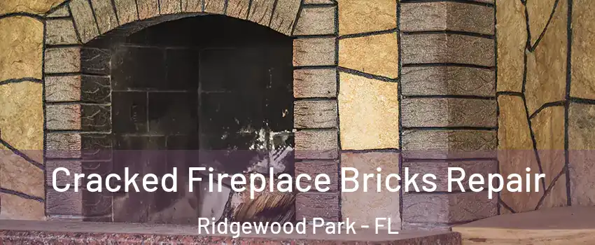 Cracked Fireplace Bricks Repair Ridgewood Park - FL