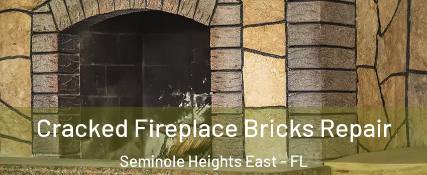 Cracked Fireplace Bricks Repair Seminole Heights East - FL