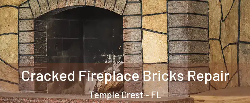 Cracked Fireplace Bricks Repair Temple Crest - FL