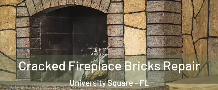 Cracked Fireplace Bricks Repair University Square - FL