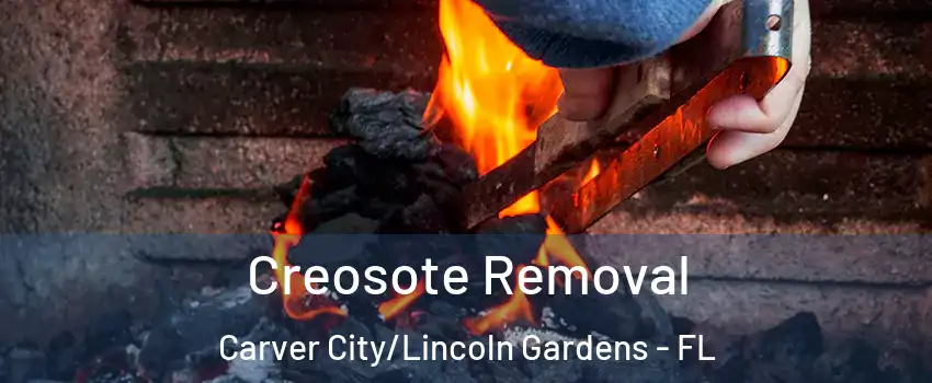 Creosote Removal Carver City/Lincoln Gardens - FL