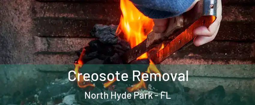 Creosote Removal North Hyde Park - FL