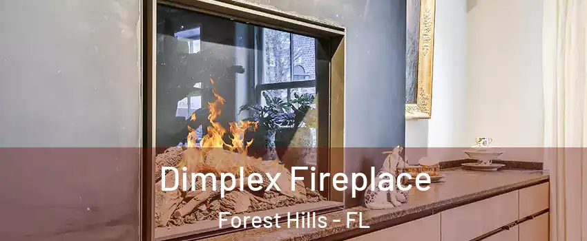 Dimplex Fireplace Forest Hills - FL