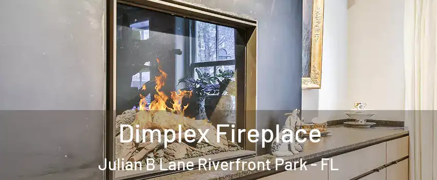 Dimplex Fireplace Julian B Lane Riverfront Park - FL