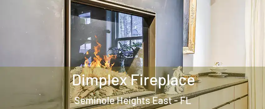 Dimplex Fireplace Seminole Heights East - FL