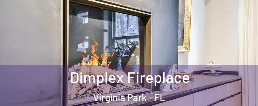 Dimplex Fireplace Virginia Park - FL