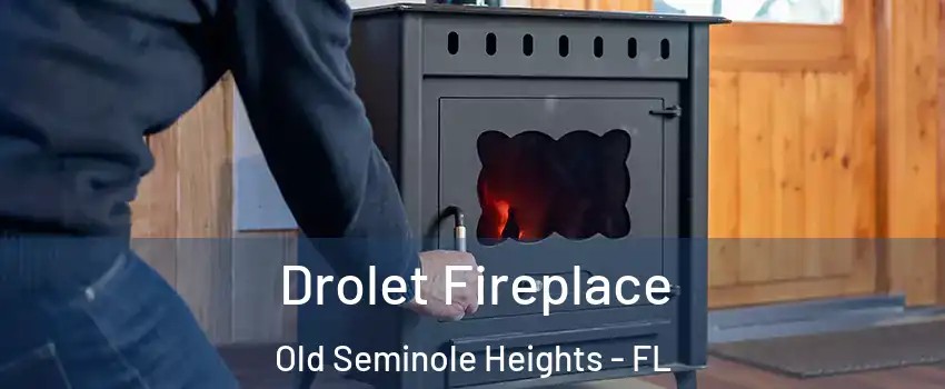 Drolet Fireplace Old Seminole Heights - FL