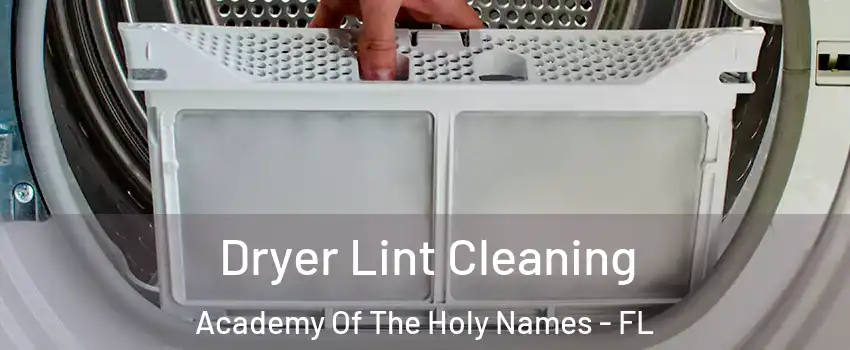 Dryer Lint Cleaning Academy Of The Holy Names - FL