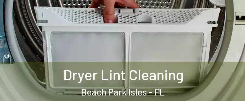 Dryer Lint Cleaning Beach Park Isles - FL