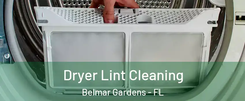 Dryer Lint Cleaning Belmar Gardens - FL