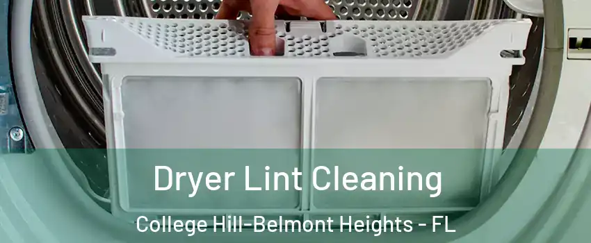 Dryer Lint Cleaning College Hill-Belmont Heights - FL