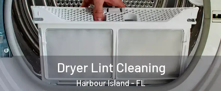 Dryer Lint Cleaning Harbour Island - FL