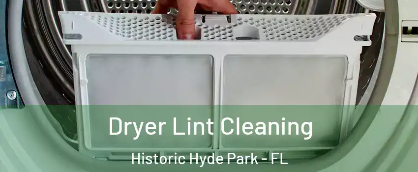 Dryer Lint Cleaning Historic Hyde Park - FL